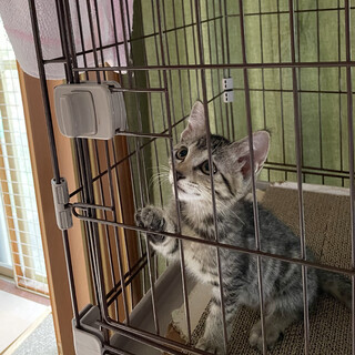 やんちゃで可愛いおてんばさん