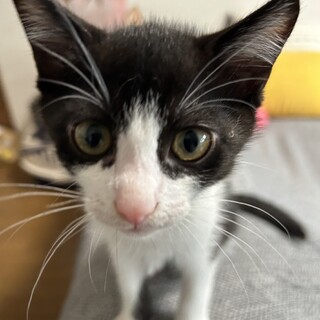 可愛いやんちゃボーイ♡