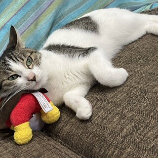 避難済みの女の子