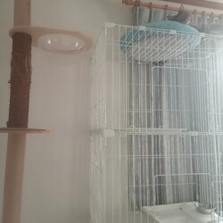 熟睡中にビクっと飛び起きて！