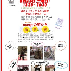 orangeの猫たちの譲渡会in大倉山