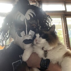 うにちゃん里子10周年！恒例被り物記念写真(笑)