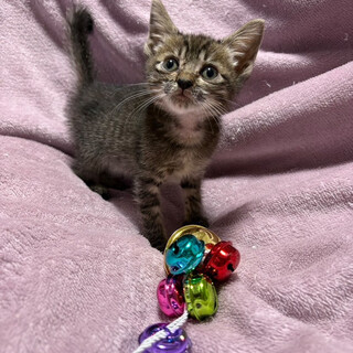 甘いマスク♡キキちゃん1.5ヶ月