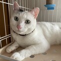 大きくて丸いお顔の男の子