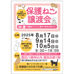 保護ねこ譲渡会