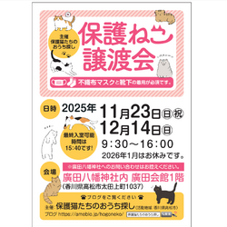 保護ねこ譲渡会