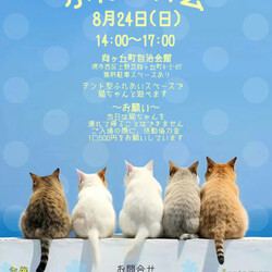 保護猫のふれあい会