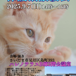 【さいたま市見沼区】9/7（日)ハレノテラス保護猫譲渡会