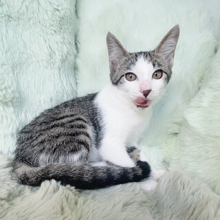 沖縄からずっとのお家を探しにきました！