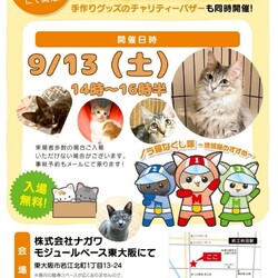 保護猫の譲渡会