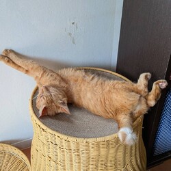 「寝相」サムネイル2