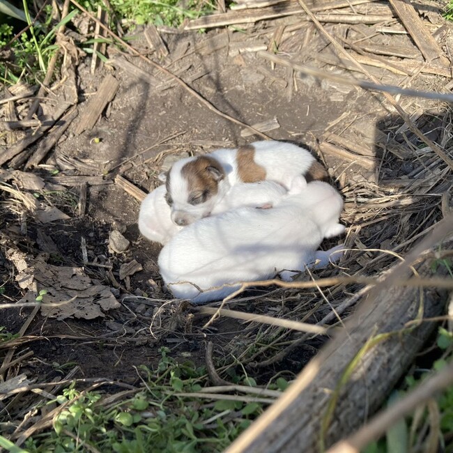 ハッピーすまいる　ゆーこのカバー写真