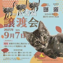 保護猫譲渡会（予約制）