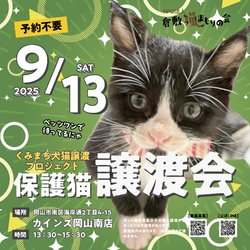 保護猫譲渡会（予約不要）