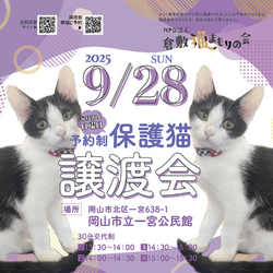 保護猫譲渡会（予約制）