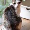 人が大好き穏やかで甘え上手な、さよりちゃん