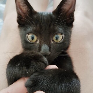 まりも：兄弟の分も強く生きます！