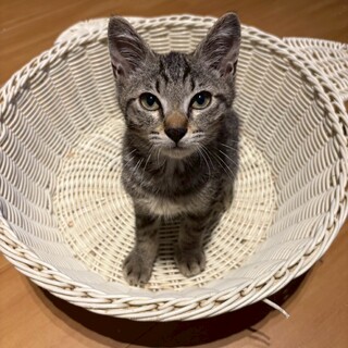 なでなで大好きな4ヶ月の男の子！