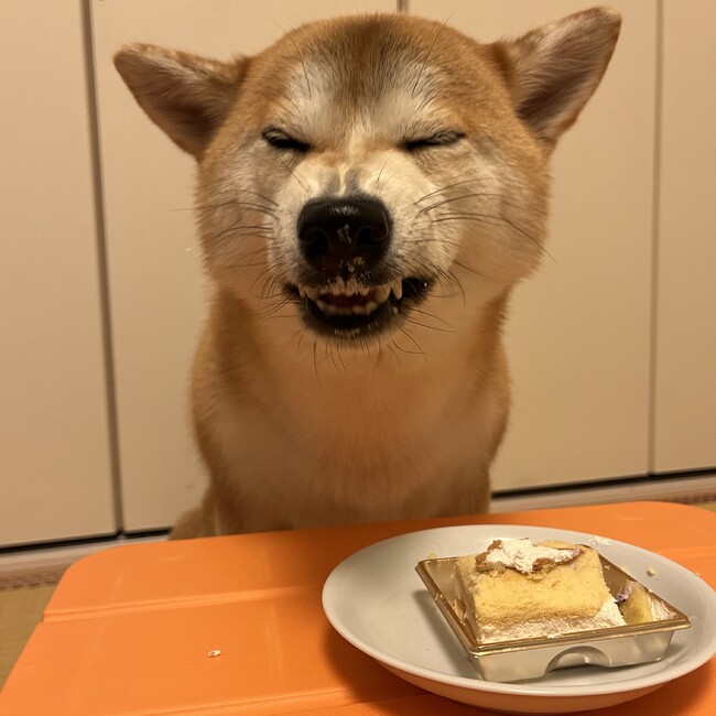 みっちーんのカバー写真