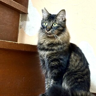 元気いっぱい！おしゃべりな男の子！