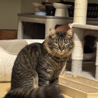 遊ぶの大好き！元気いっぱいな男の子！