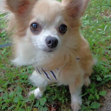 なっつ　そちらの世界でどう過ごしてる？会いたいな～