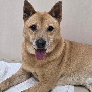 里親様決定しました！