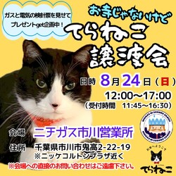 【第15回】お寺じゃないけどてらねこ譲渡会