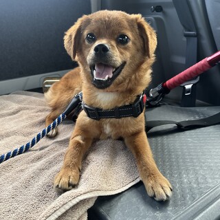 甘えんぼで優しい女の子