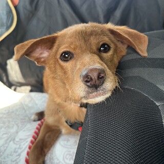 よく笑う甘えんぼの男の子