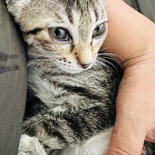 可愛いお顔の女の子