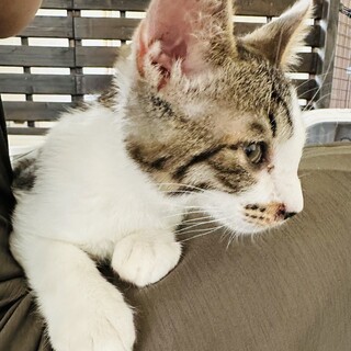 甘えん坊の男の子