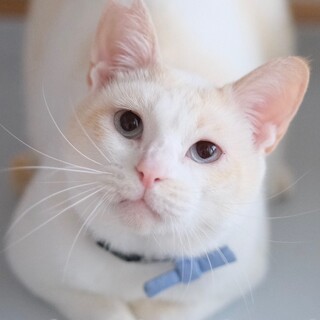 まむ蔵♡家族ができました