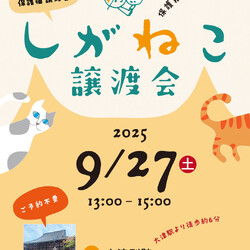 しがねこ譲渡会