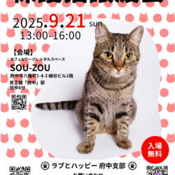 ラブとハッピー府中【保護猫譲渡会】 