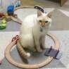  さん