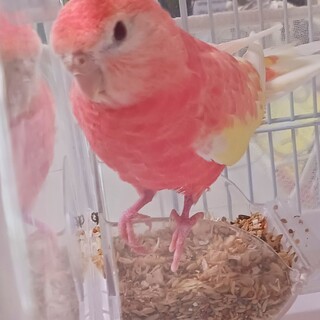 交渉中につき募集一時停止します☆