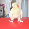 ルナ0713