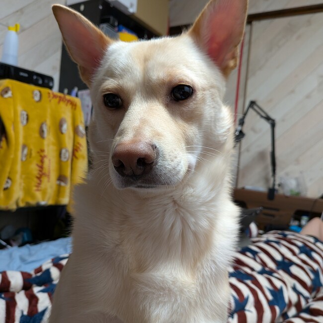 hutamoのカバー写真