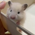 みみずく520様