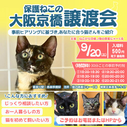 猫と遊べる♪譲渡会！