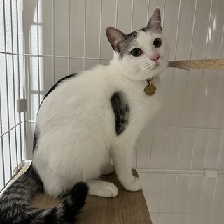 急募！！人懐っこい男の子