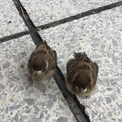 お久しぶりです(*´ω｀*) 追記有り