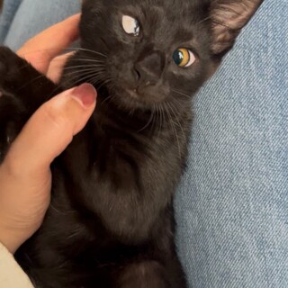 おめめの個性ごと愛してくれる方へ