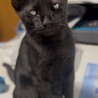 おめめの個性ごと愛してくれる方へ サムネイル2