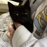 おめめの個性ごと愛してくれる方へ サムネイル3