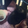 おめめの個性ごと愛してくれる方へ サムネイル4