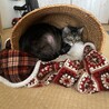 丸蔵