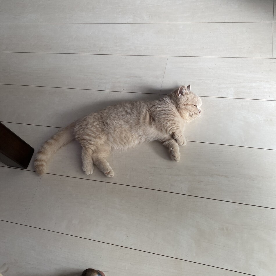 春吉のカバー写真