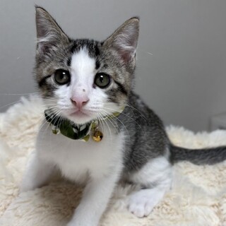 元気いっぱい兄妹たち・太葵（たいき）くん